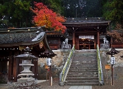 Takayama-Sakurayama Hachimangu Shrine 11-0872